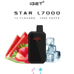 IGET DISPOSABLE VAPE